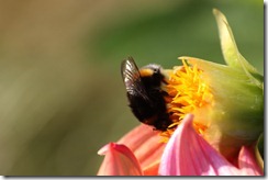 bilder 015