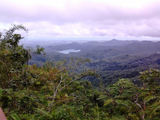 Hutan wisata Kalibiru