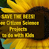 Save the Bees! Bee Citizen Science Projects for School or Home