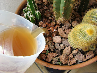 Fertilizante cactus.