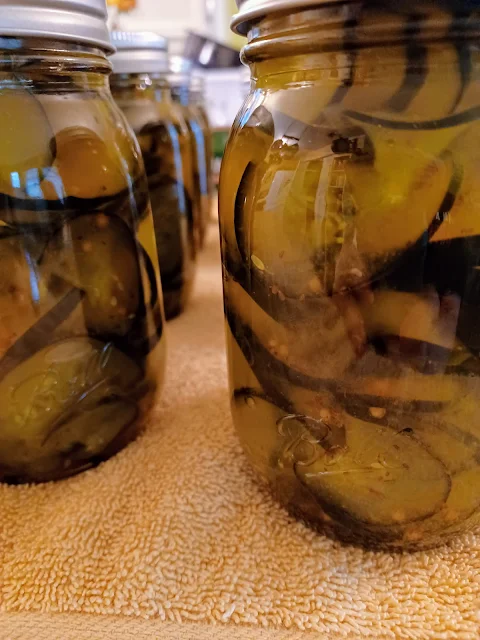 Mustard Seed Pickles Recipe at Miz Helen's Country Cottage