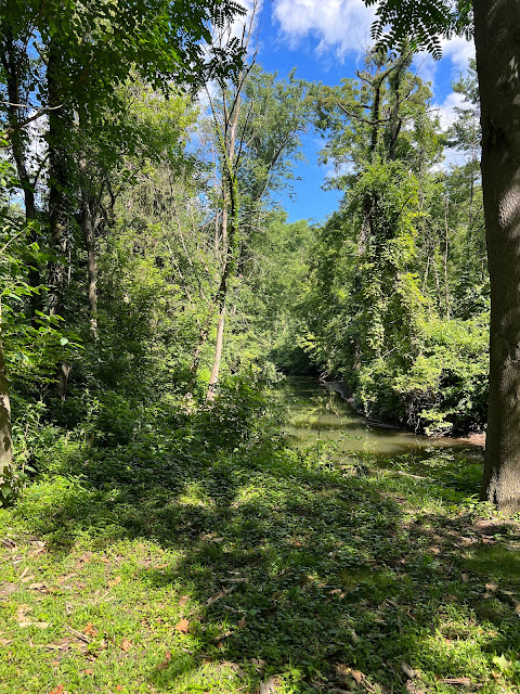 Trail Creek peacefully meanders through the preserve.