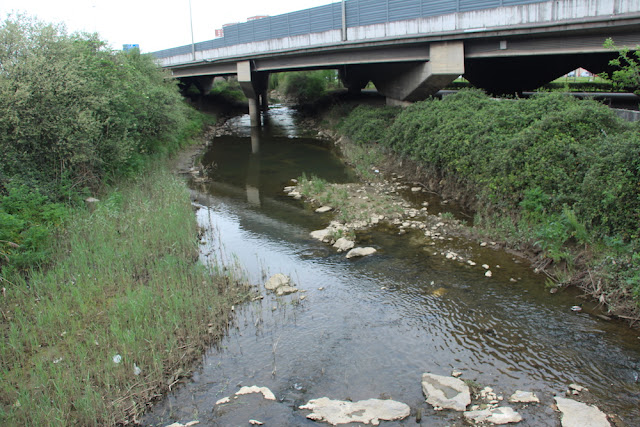 El río en Retuerto