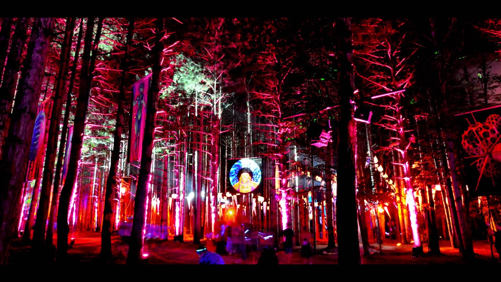 Forest Desktop Background Groovy Forest Desktop Background Groovy