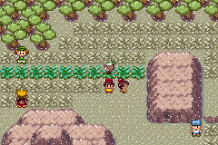 pokemon emerald kaizo screenshot 1