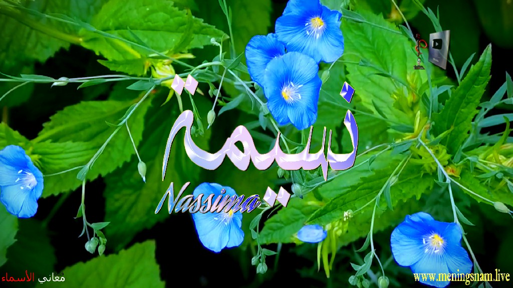 معنى اسم, نسيمة, وصفات, حاملة, هذا الاسم, Nassima,