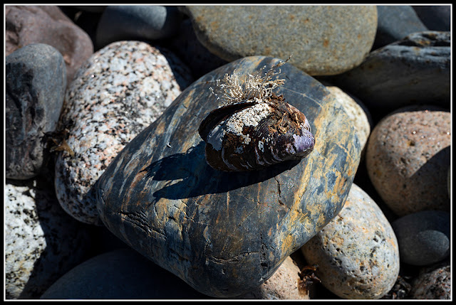 Hirtle's Beach; Nova Scotia; Maritimes; Atlantic Ocean