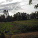 View album