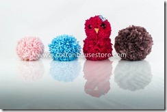 DSC_1383_pompom