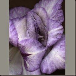 unnamed (27)