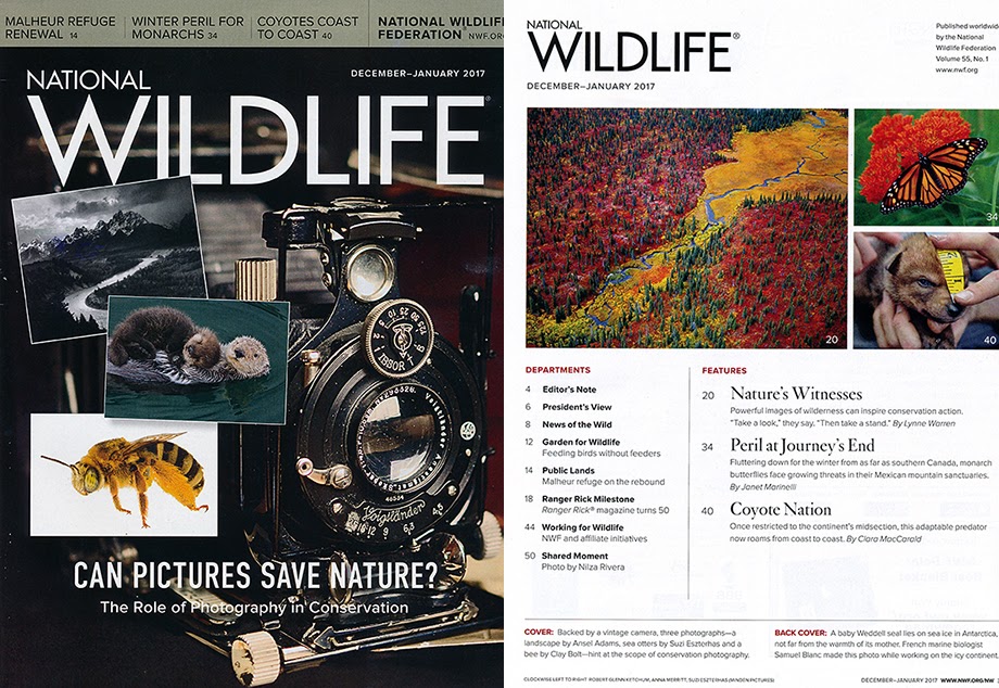 Robert Glenn Ketchum in National Wildlife magazine