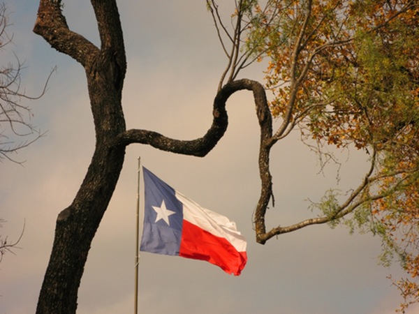texas flag