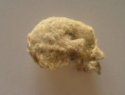 Sculptures made from dust Seen On www.coolpicturegallery.net