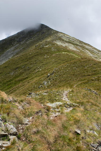 Wanderung vom Ingeringgraben über den Schmähhausrücken auf den Hochreichart. - Blick auf den Gipfel