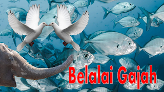 Belalai Gajah