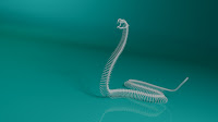 3d model snake skeleton