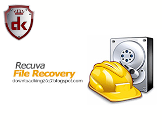 Recuva Professional v1.53.1087