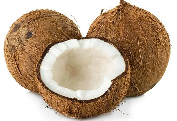 Coconut, Health, Tips, Lifestyle, Diseases, Foods, Vitamins, Nutrients, Disease, Health benefits of eating coconut.