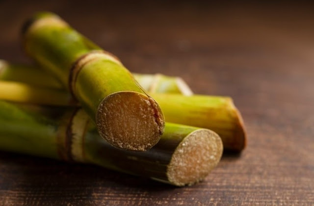 how to treat bamboo water