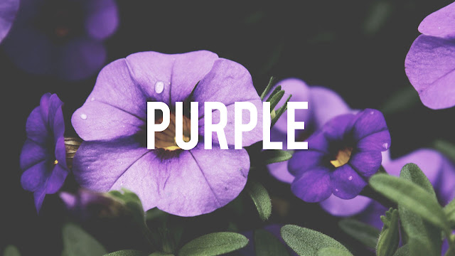 The color purple is sophisticated and mysterious