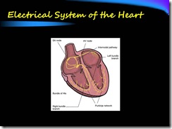 Slide5