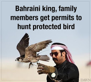 Moonis Elahi Condemns Issuing Hunting License To Bahraini King's Family