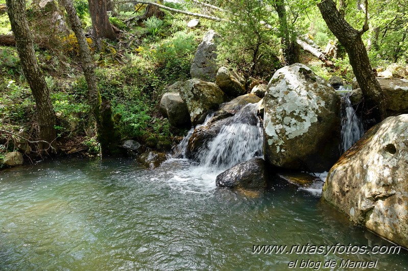 El Bujeo - Pista de la Algamasilla - Puerto de la Higuera - Río Guadalmesí