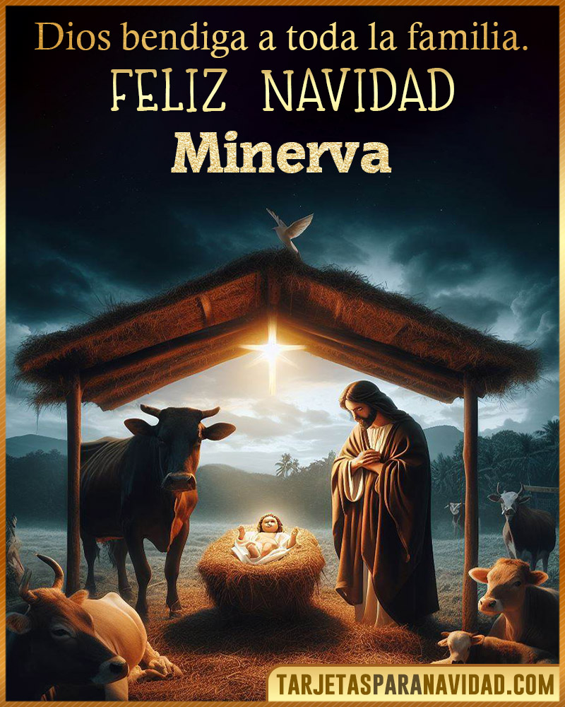 Feliz Navidad Minerva