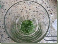 Mojito_1