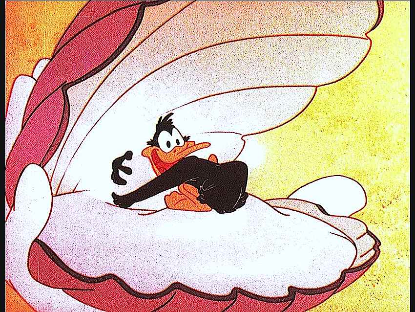 Daffy Duck hugs a pearl