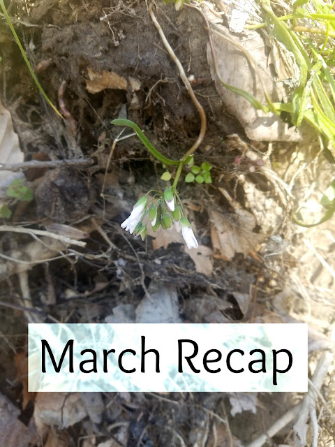 March Recap