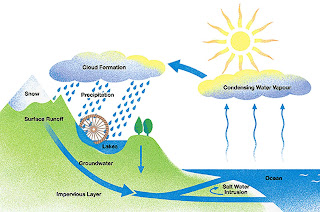 water_cycle-2.jpg