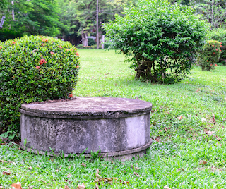 septic tank pumping South Lyon