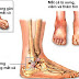 Tìm hiểu bong gân mắt cá chân là gì ?