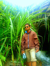 My photo