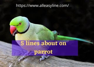 5 Lines on Parrot