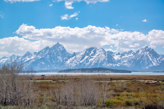 Grand Tetons Willow Flats Overlook