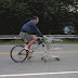 Bicycle Shopping Cart