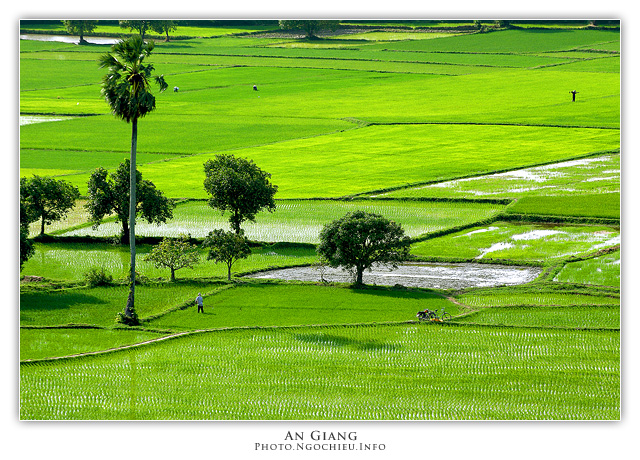 An Giang Province - Vietnam