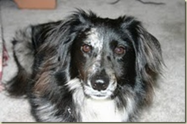 Noostie's closeup