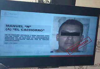 Cae “El Cachorro” jefe de plaza de Los Zetas en zona Córdoba-Orizaba