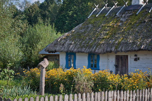 misteczka na podlasiu, puszcza białowieska z dziećmi