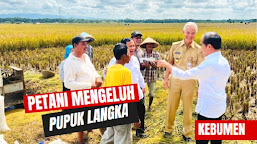 Petani Mengeluh Pupuk Langka, Begini Jawaban Jokowi