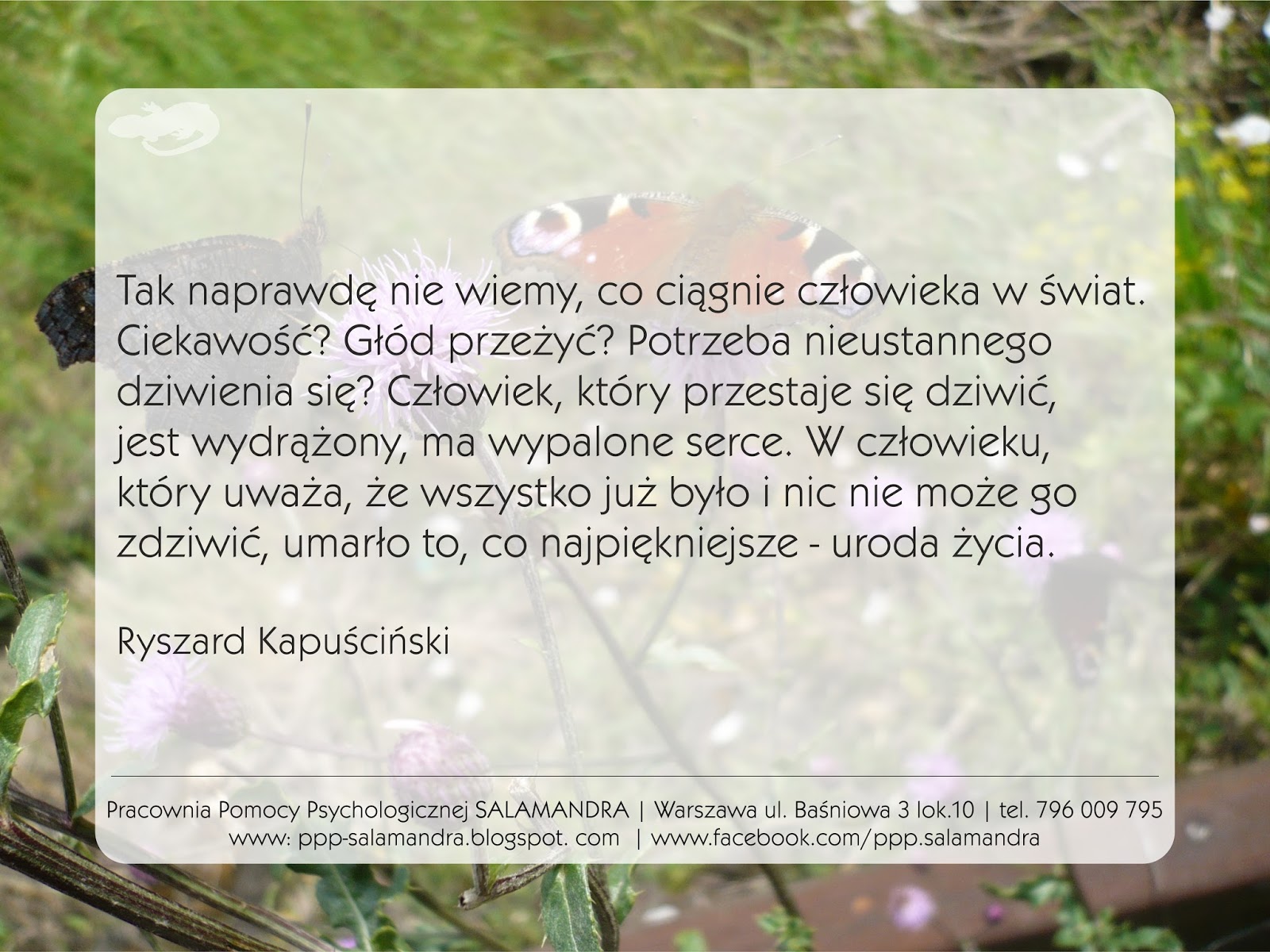 Co ciągnie człowieka w świat czyli o wartości zdziwienia