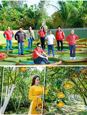 Tour Du lịch miền Tây - Đồng Tháp - Làng Hoa Sa Đéc - Vườn Quýt Hồng Lai Vung - Chùa Lá Sen
