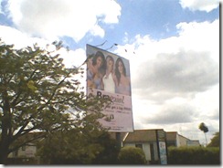 IMG0618A