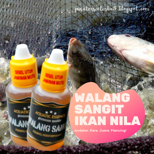 https://pusatessenterbaik.blogspot.com/2019/10/rekomendasi-essen-walang-sangit-ikan-nila-terlaris-mantap.html