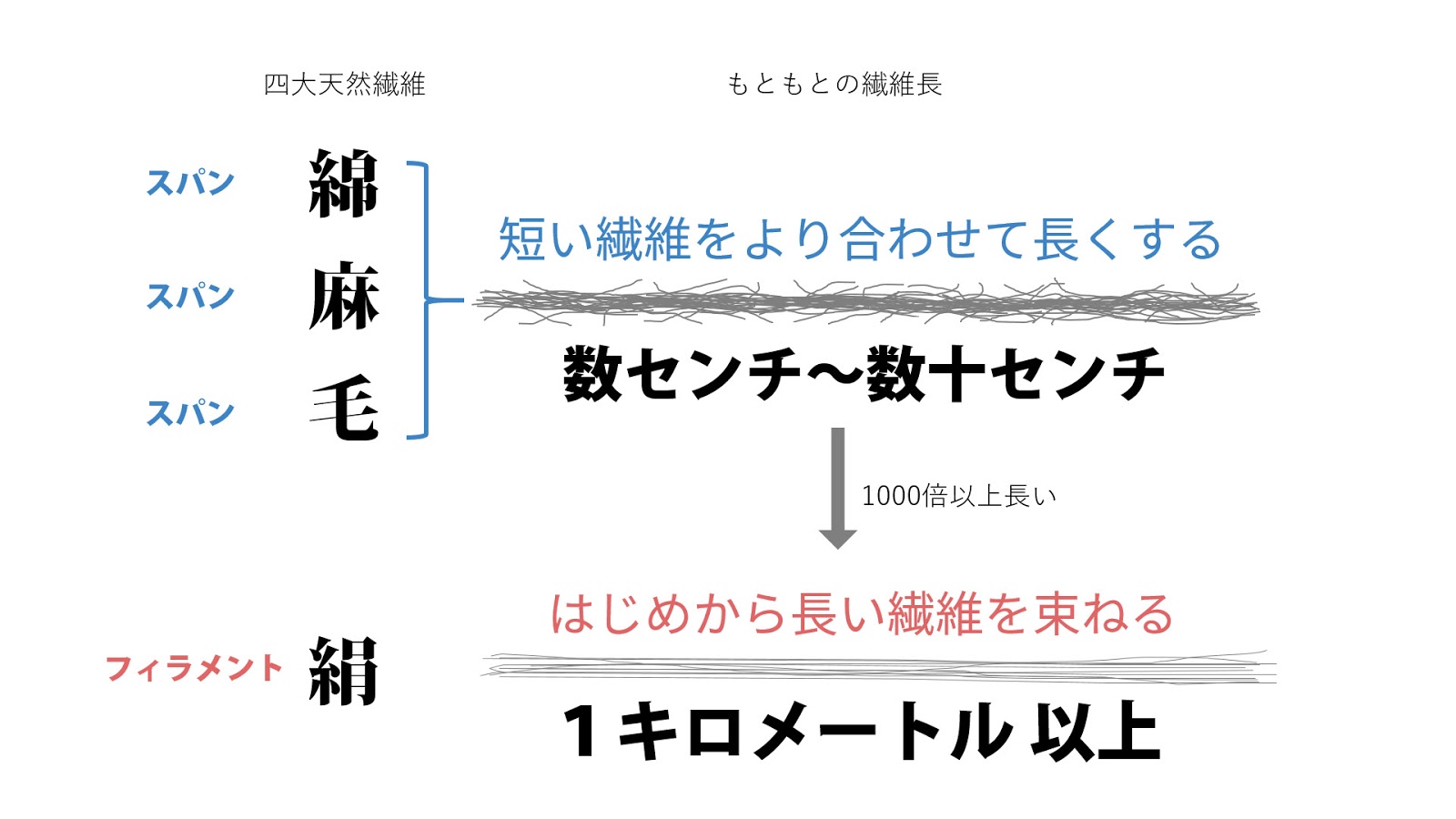 シケンジョテキ 4月