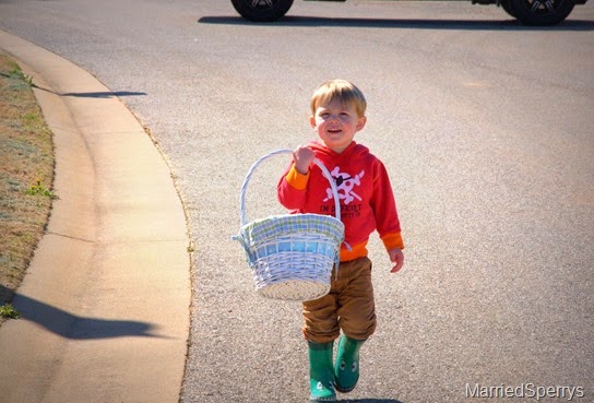 DSC_0050.NEF