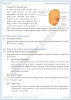 reproduction-short-and-detailed-answer-questions-biology-10th